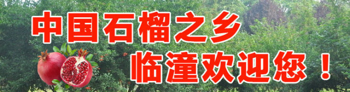 西安市临潼区秦煌石榴专业合作社