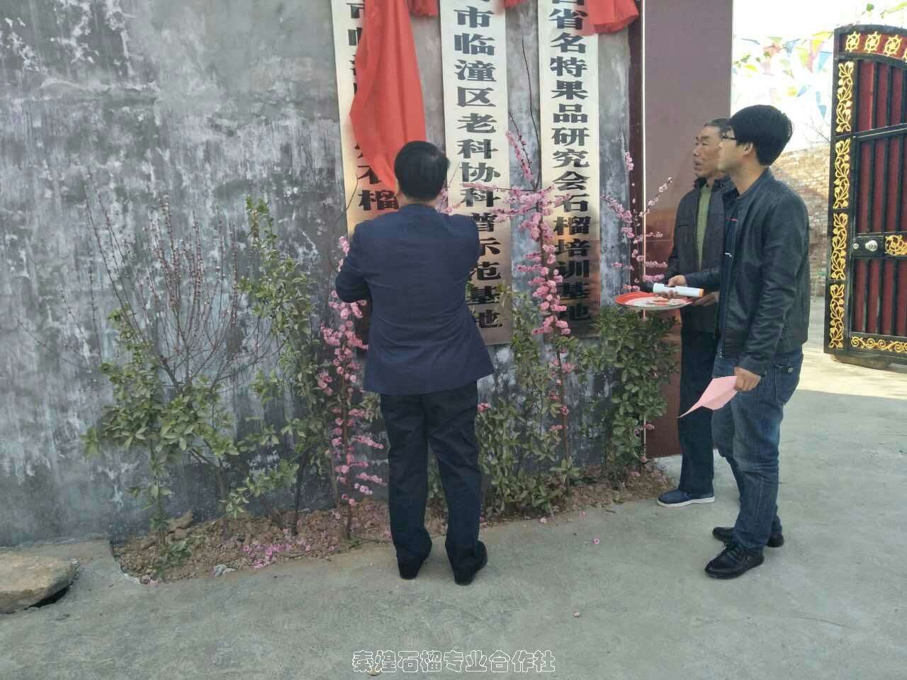 区秦煌石榴专业合作社揭牌仪式在临潼区斜口办芷阳村柏家山组成功举行